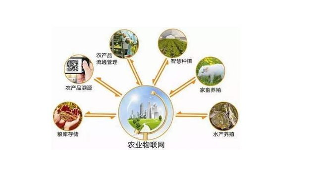 智慧农业物联网 驱动农业科技创新的新引擎——解读中央一号文件与农业产业科技创新中心建设